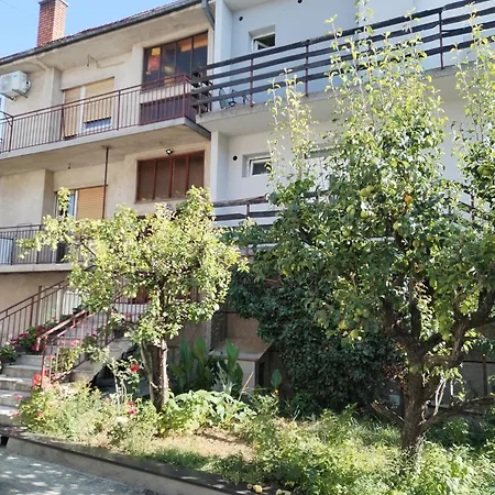 Apartman Ristic Vranje Exterior photo